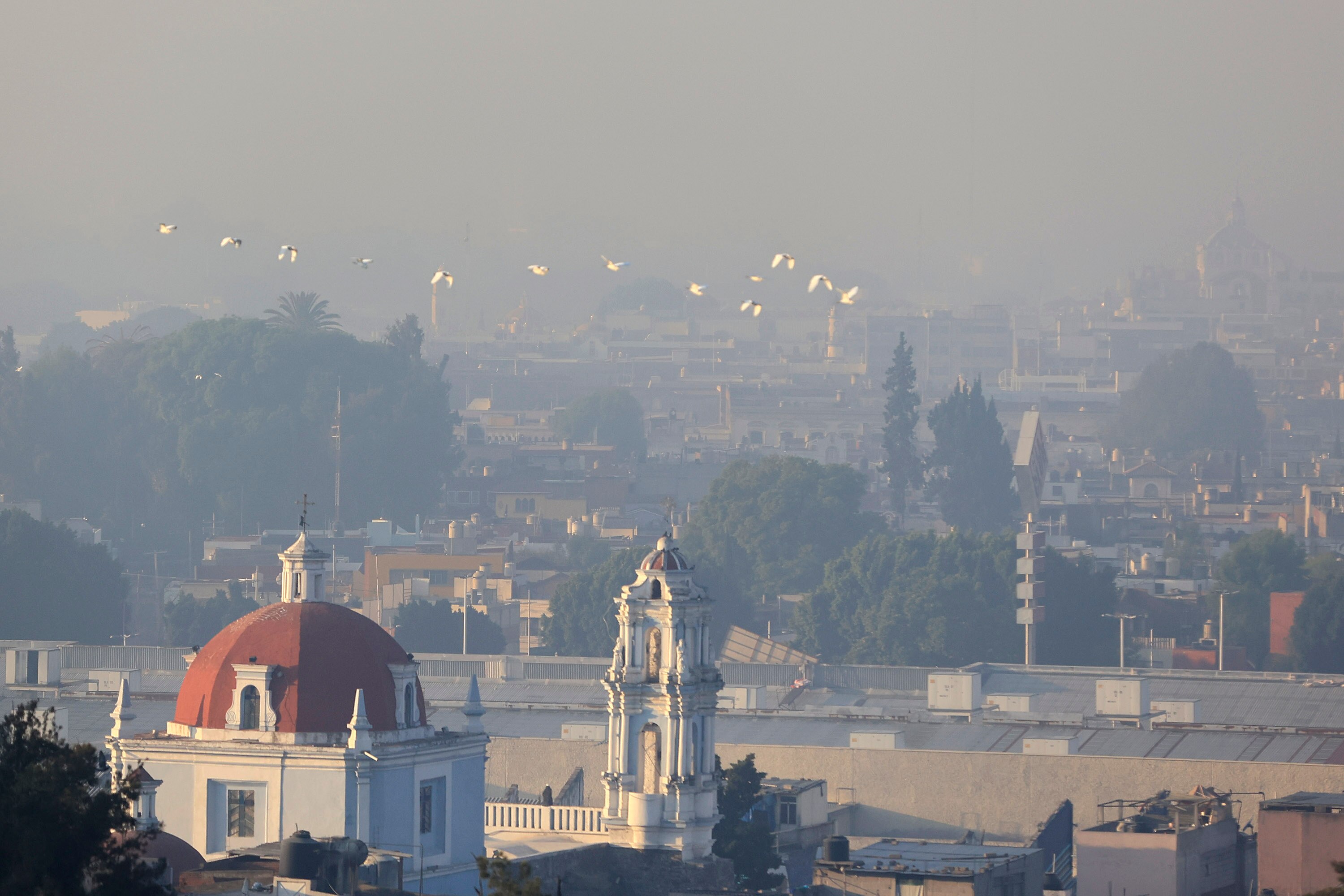 La reducción de las partículas procedentes de los gases de escape de los automóviles ha mejorado la calidad del aire. 
Foto: Producción El Universal