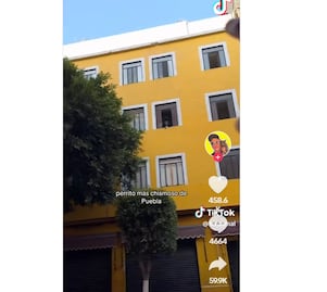 Perrito se hace viral como el más chismoso de Puebla | VIDEO