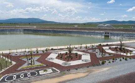 Así es como Audi cuida de las abejas y el agua en San José Chiapa