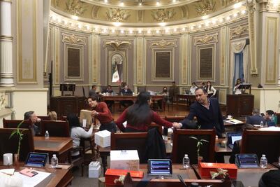 Congreso presenta reforma para fortalecer medidas contra el maltrato animal