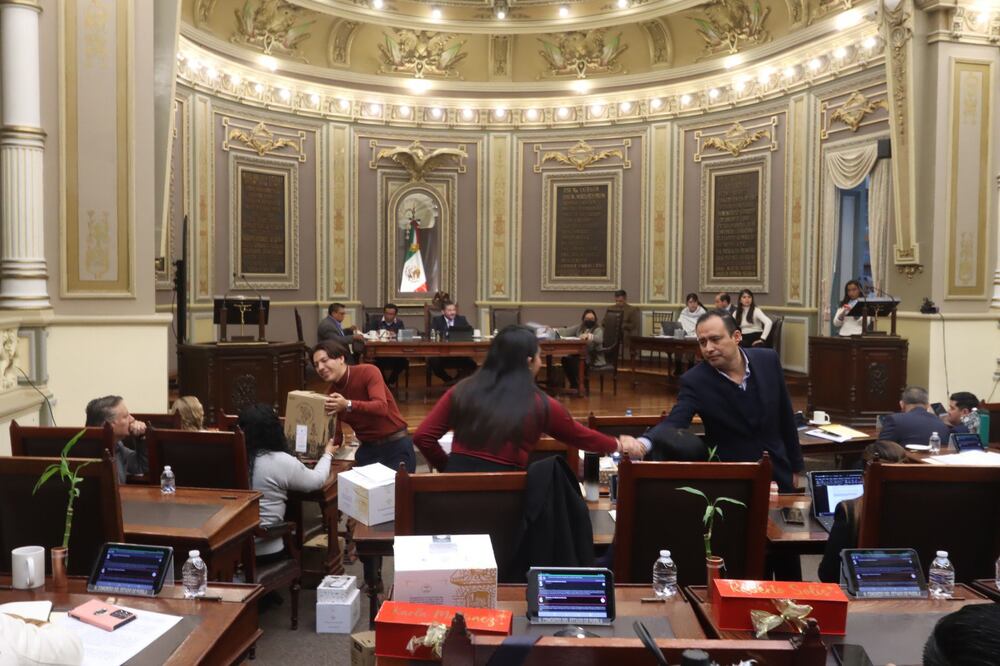 Congreso del Estado de Puebla propone reforzar Ley de Bienestar Animal | Foto Congreso del Estado de Puebla