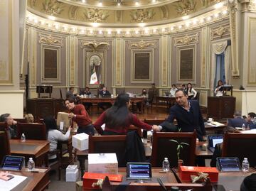 Congreso presenta reforma para fortalecer medidas contra el maltrato animal