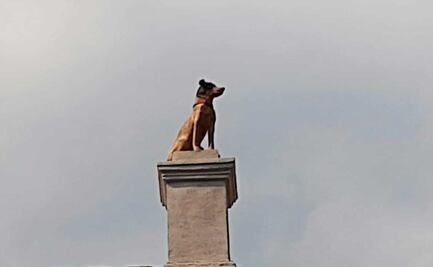 Conoce la legendaria “Casa del Perro” en Puebla