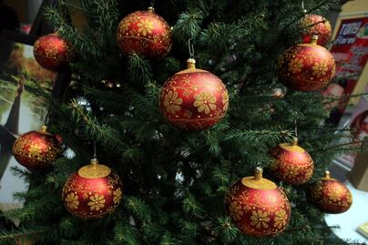 ¿Qué artistas estarán en la Feria del Árbol y la Esfera 2023? Checa los detalles