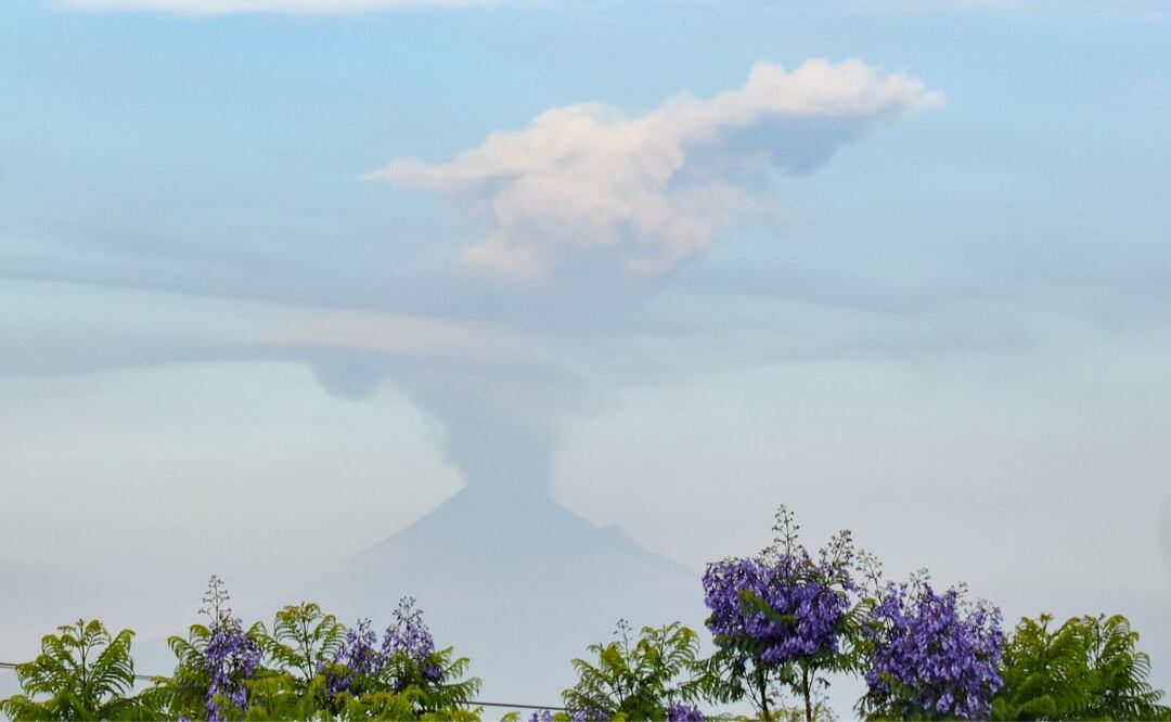 Don Goyo se mantiene bravo. | Foto: Agencia Es Imagen para El Universal Puebla
