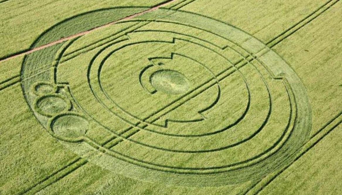 Figuras extrañas en cultivos / Foto: Wikimedia Commons