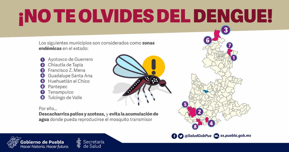 Para prevenir estas y otras enfermedades transmitidas por los mosquitos, la Secretaría de Salud de Puebla recomienda seguir medidas de prevención. 

Foto: Producción El Universal Puebla