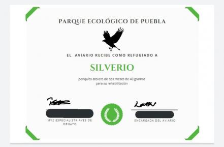¡No estoy llorando, tú estás llorando! Veterinaria inventa refugio de aves en Puebla por esta razón
