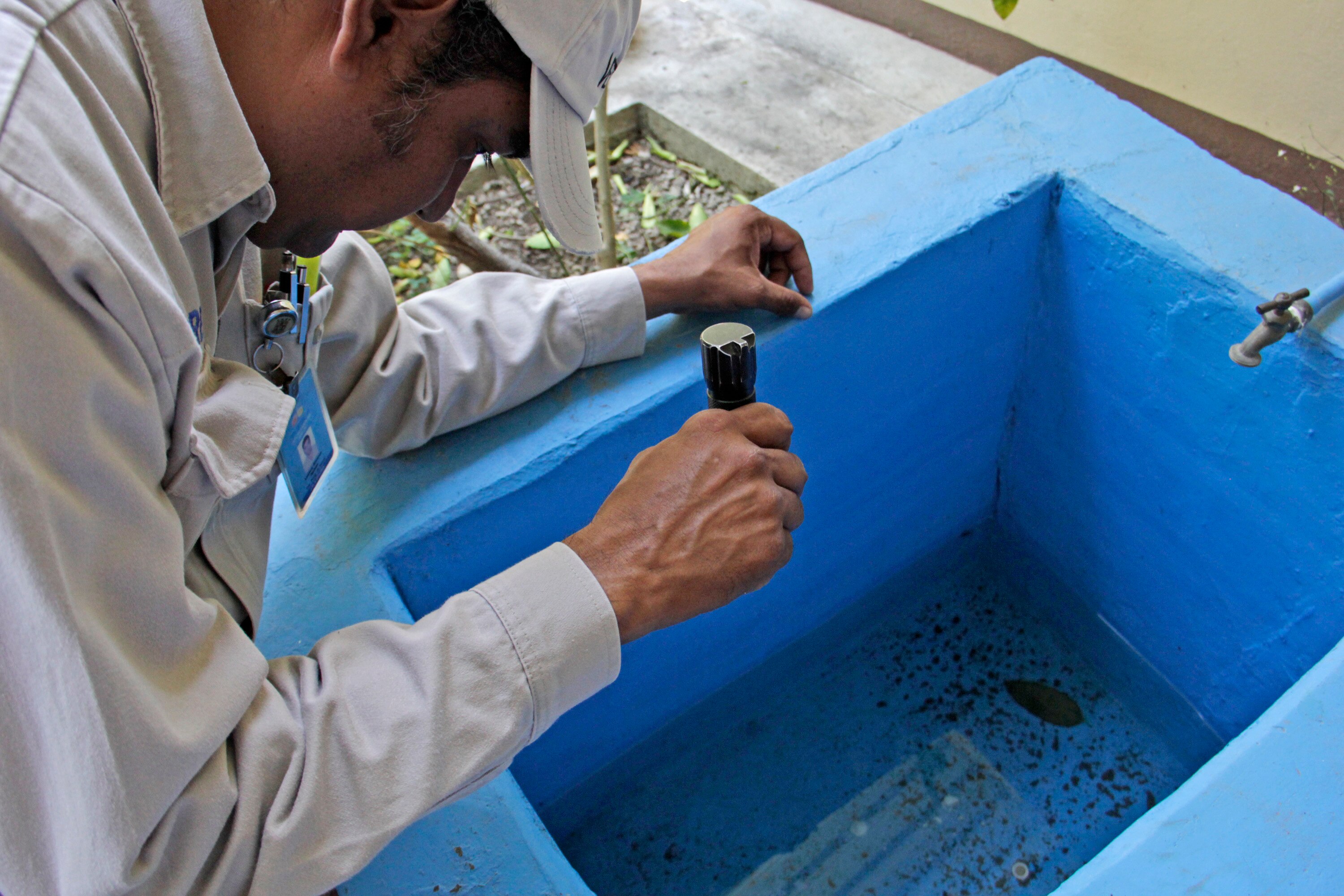 La prevención del dengue se centra principalmente en controlar los mosquitos que transmiten la enfermedad y evitar las picaduras de mosquitos.

Foto: Producción El Universal Puebla 