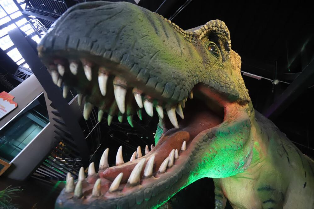 En el estado de Puebla hay muchos museos y parques temáticos para ver dinosaurios | Foto: EsImagen