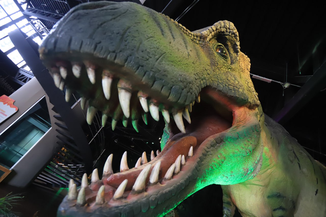 En el estado de Puebla hay muchos museos y parques temáticos para ver dinosaurios | Foto: EsImagen