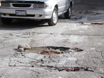 Baches en Puebla como plaga: diario se reportan cinco, en un año mil 478