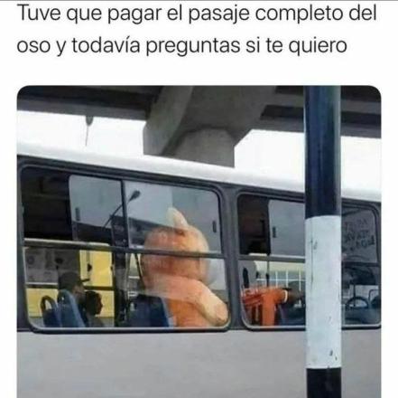 Amor y desamor, los mejores memes del 14 de febrero 