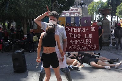 No al maltrato animal. Activistas protestan con performance en Puebla