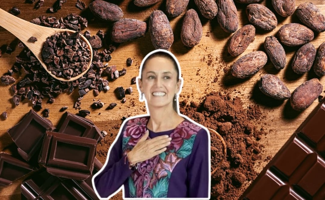 Los chocolates del Bienestar son una iniciativa del gobierno de México | Foto: Especial