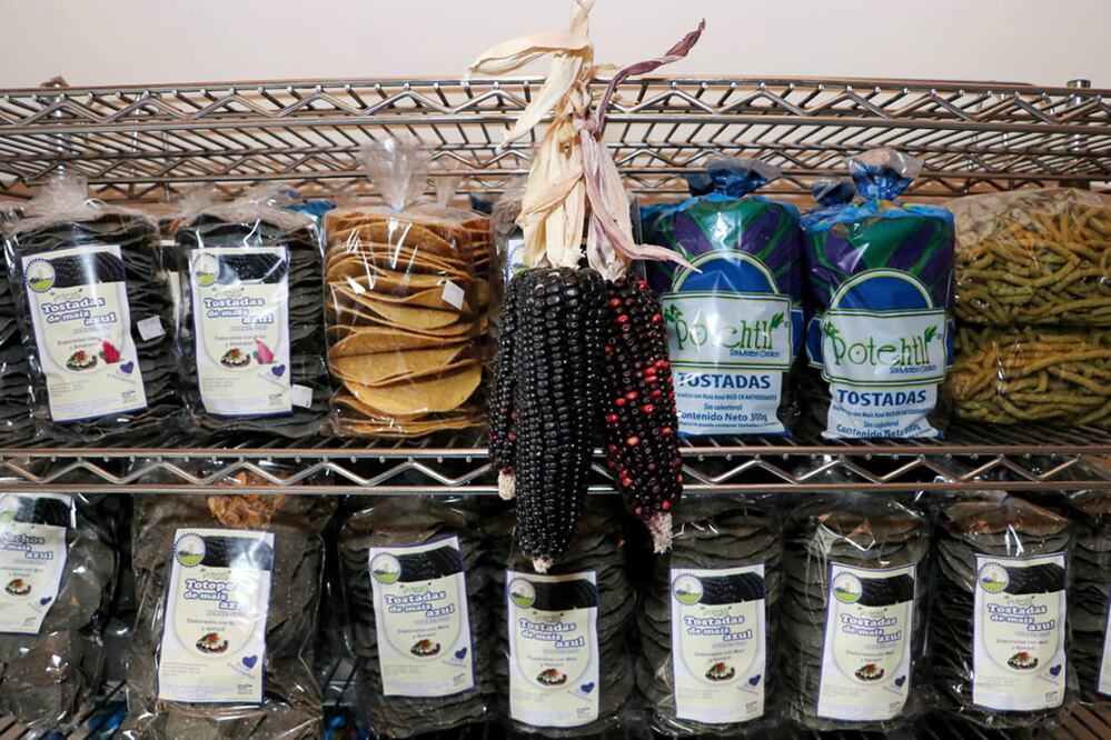 ¡Provecho paisanos! Puebla exporta tostadas de maíz azul a Estados Unidos