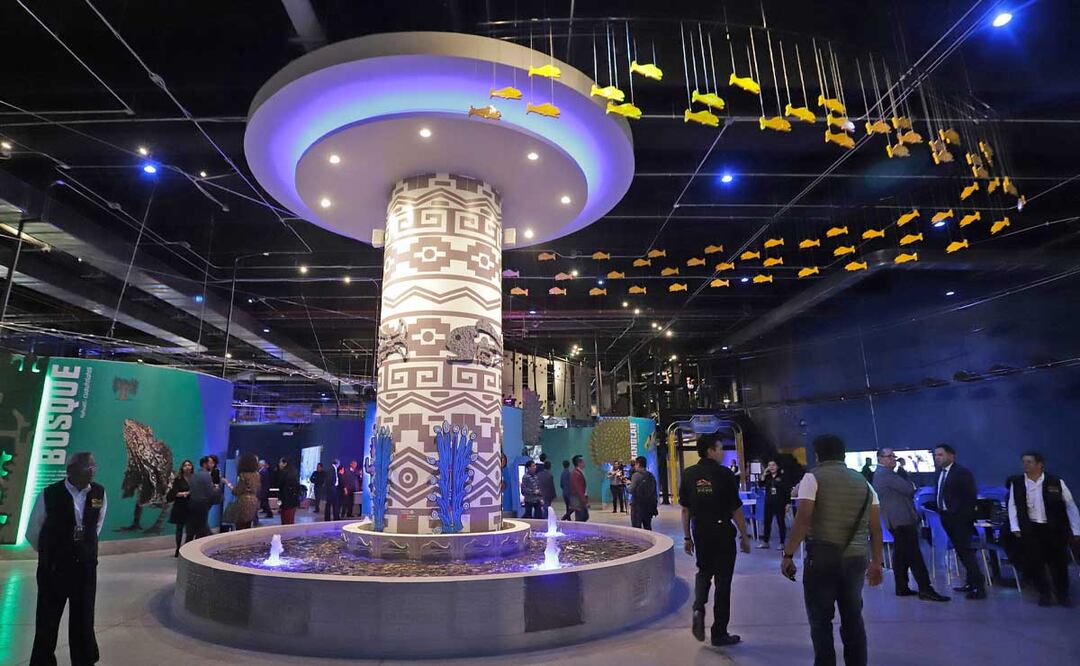 La experiencia “Yólotl” en el Acuario Michin tiene un costo de mil 600 pesos por persona | Foto: Acuario Michin