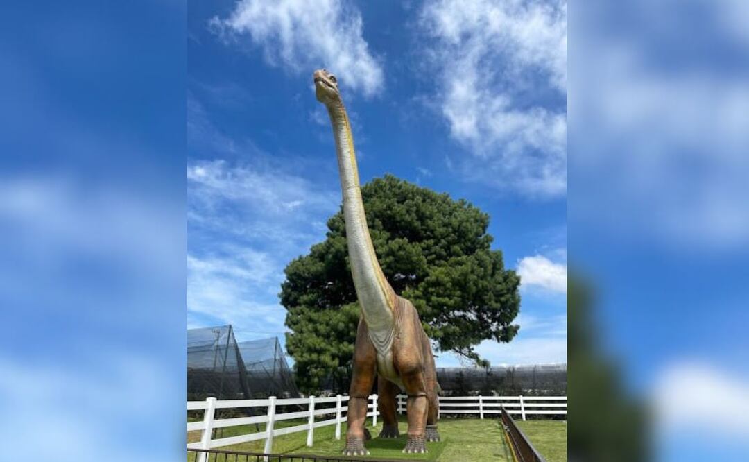En el municipio de Esperanza hay una huerta de dinosaurios y otros atractivos | Foto: Google / Alan David Montiel Mora