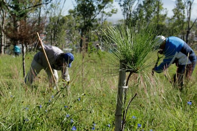 Realizan obras de mejora en espacios públicos