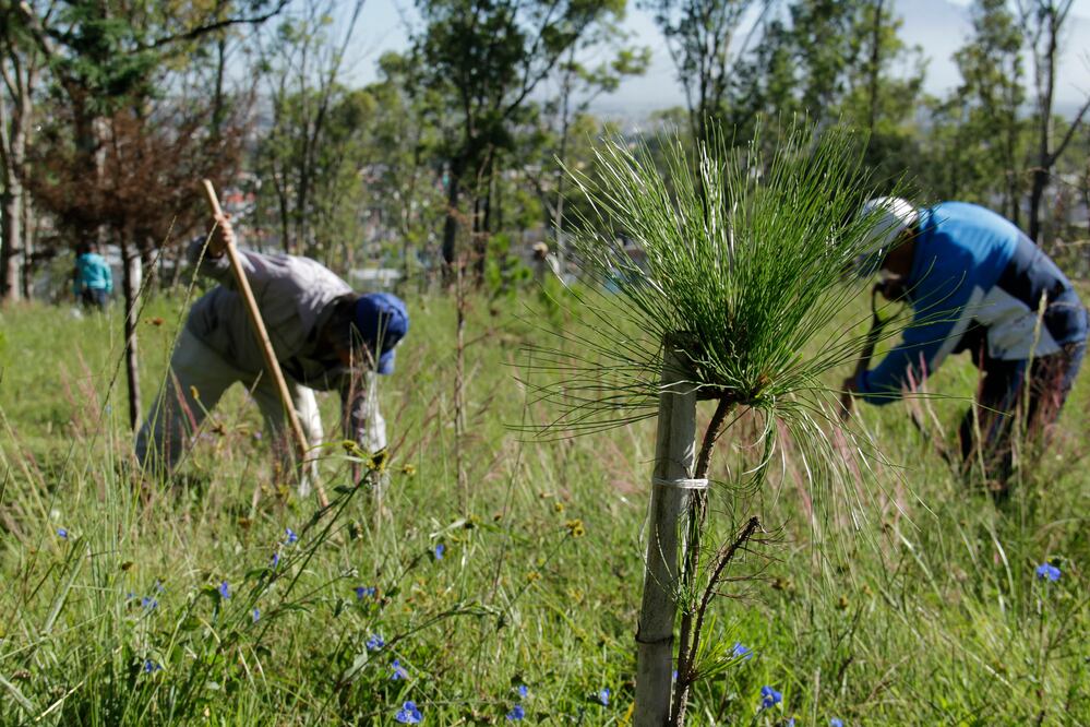 Imagen: Agencia Enfoque para El Universal Puebla