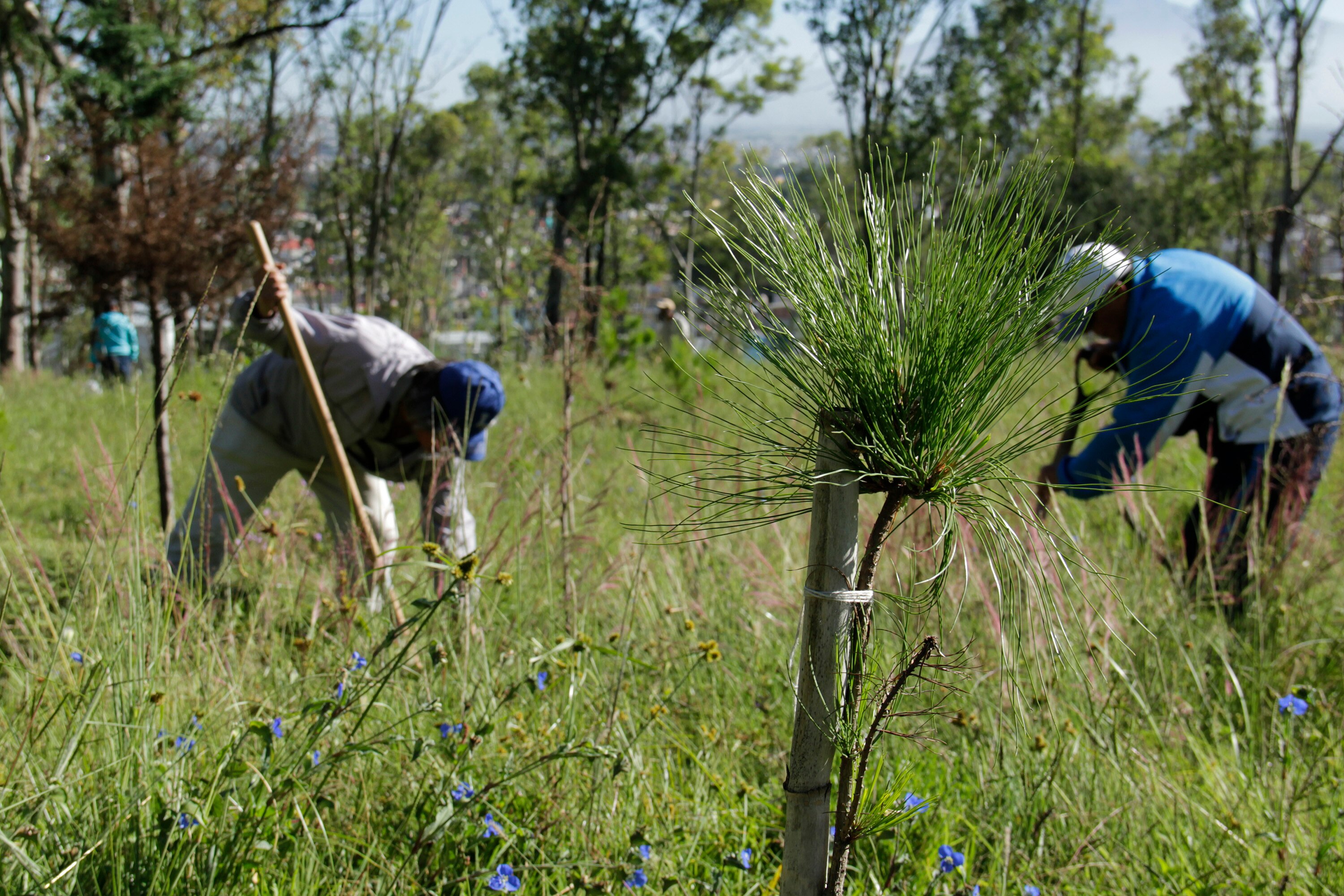 Realizan obras de mejora en espacios públicos