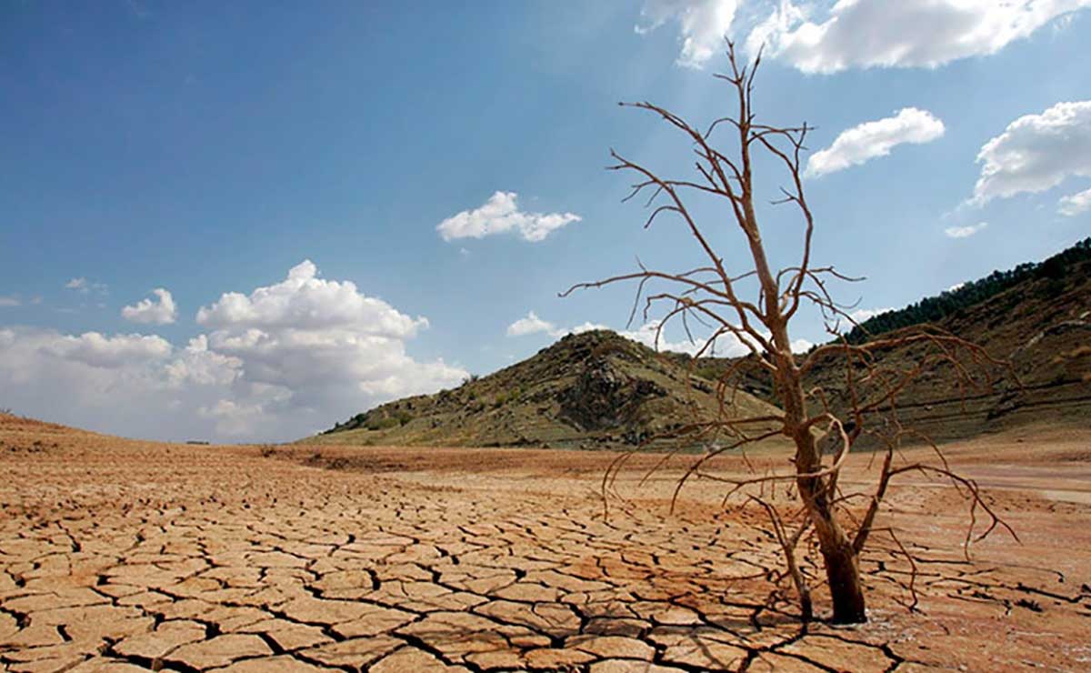 La OMM ha determinado que existe un 50% de posibilidades de que La Niña llegue entre junio y agosto. 

Foto: Producción El Universal Puebla 