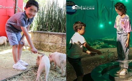 Checa estas opciones de cursos para verano 2024 en Puebla