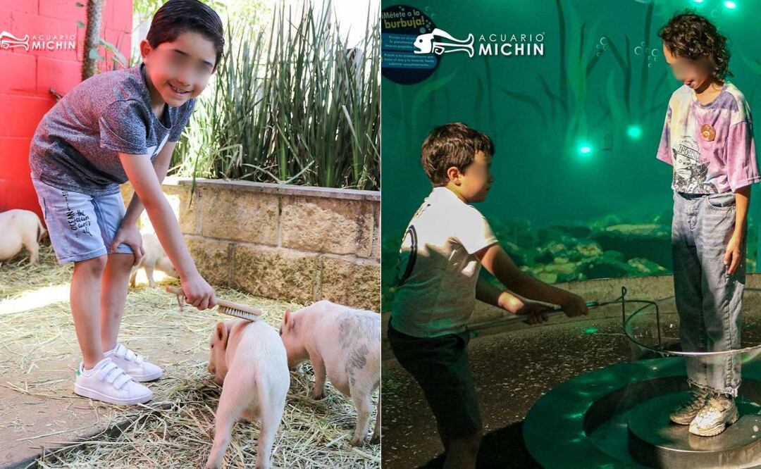 Cursos de Verano en Puebla | Foto: Acuario Michin