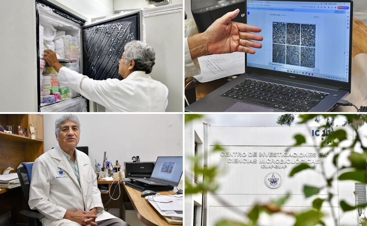 Doctor Luis Javier Martínez Morales, investigador del Instituto de Ciencias de la BUAP | Foto: Buap