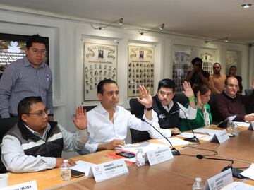 Comisiones del Congreso aprueban proyecto de dictamen para tipificar la zoofilia