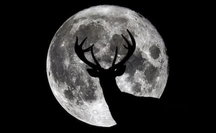 ¿Cuándo es la Luna llena de Ciervo? Aquí los detalles