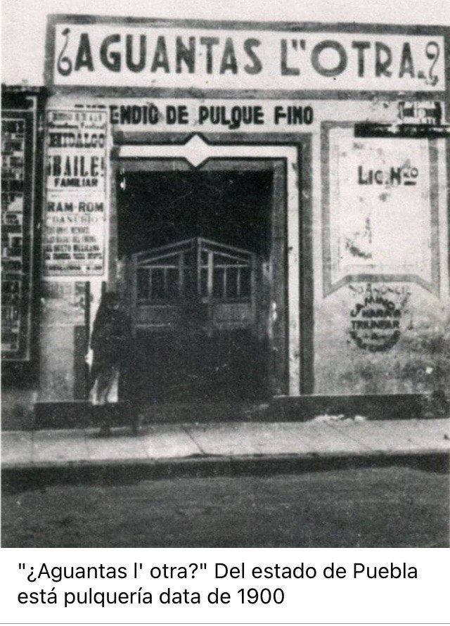 Crédito El Recreo de Puebla Antigua.