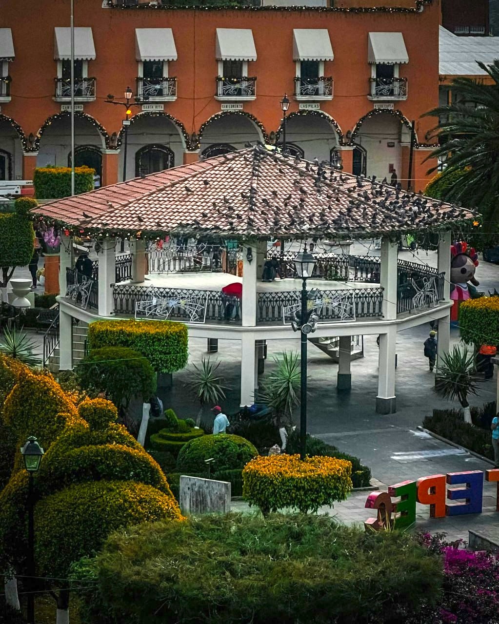 Xicotepec | Foto: Pexels