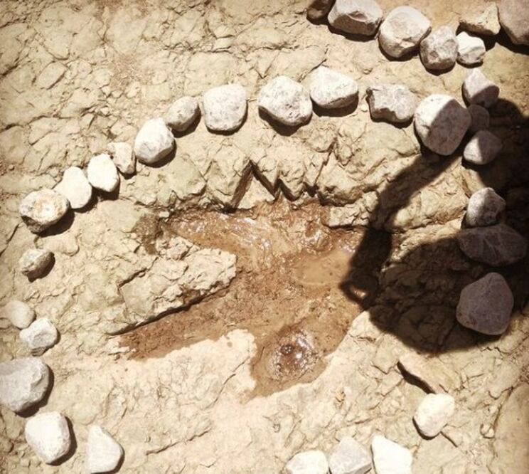 En San Juan Raya vivieron dinosarios terópidos, según esta huella encontrada | Instagram geoxplora