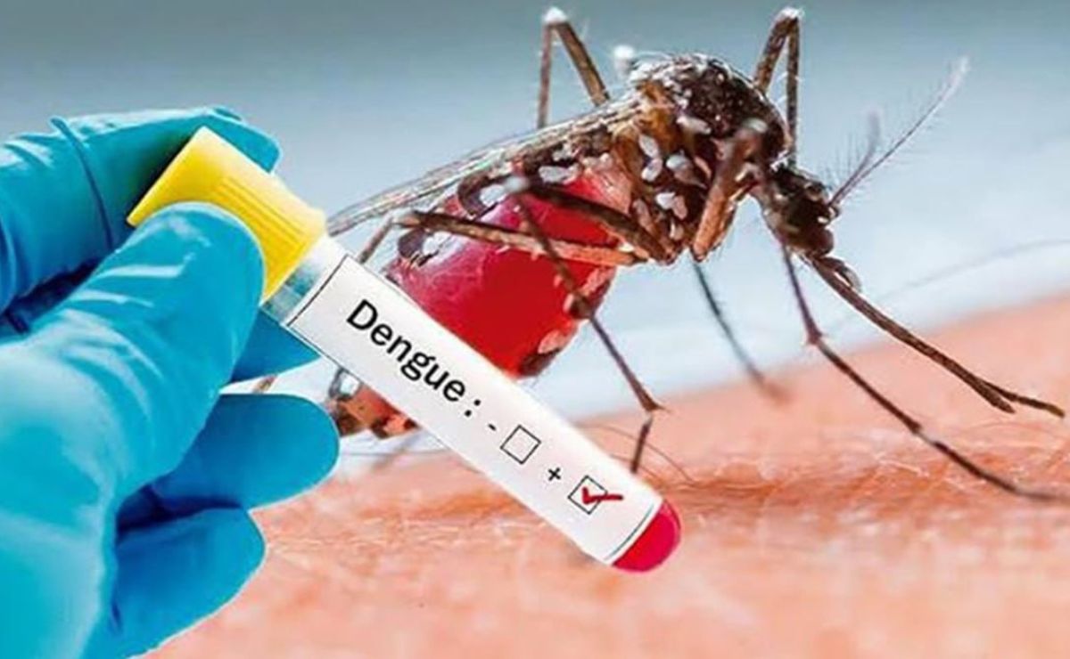 En la entidad poblana van en aumento los contagios por la picadura del mosquito del dengue | Foto: Archivo El Universal
