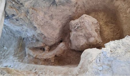 Huesos hallados por panteonero corresponden a un mamut de 10 mil años