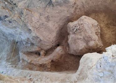 Huesos hallados por panteonero corresponden a un mamut de 10 mil años