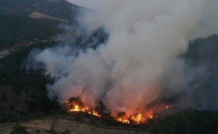 Puebla es tercer lugar nacional con 90 incendios forestales