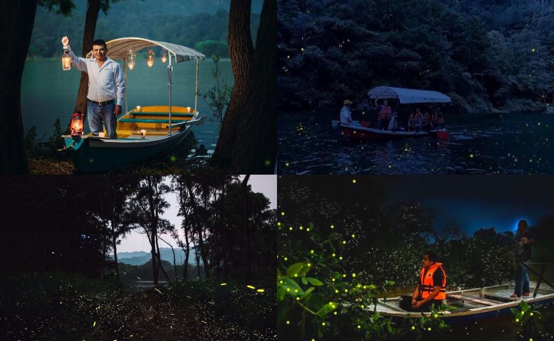 Fotos: Redes sociales I El avistamiento de luciérnagas en este Pueblo Mágico de Puebla se hace en lancha