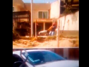 Graban a personal del Ayuntamiento de Puebla maltratando a un perro