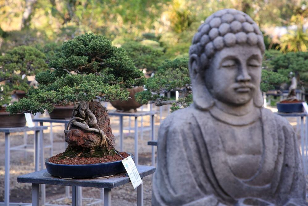 Este jardín te va a sorprender | Foto: EsImagen