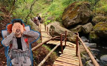 Estos senderos serpenteantes te conducen a las cascadas más hermosas de Puebla