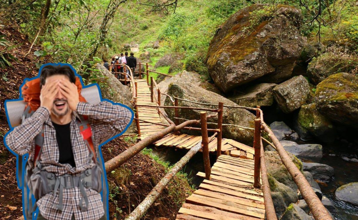 Estos senderos serpenteantes te conducen a las cascadas más hermosas de Puebla