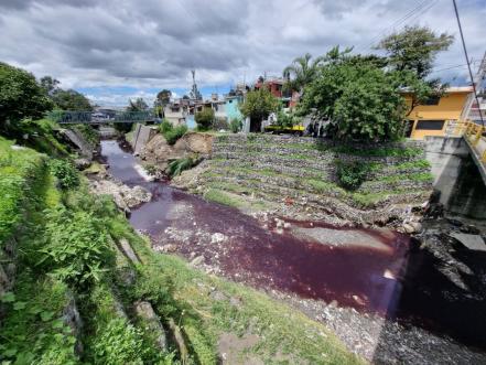 Cinco amenazas ecológicas en Puebla 