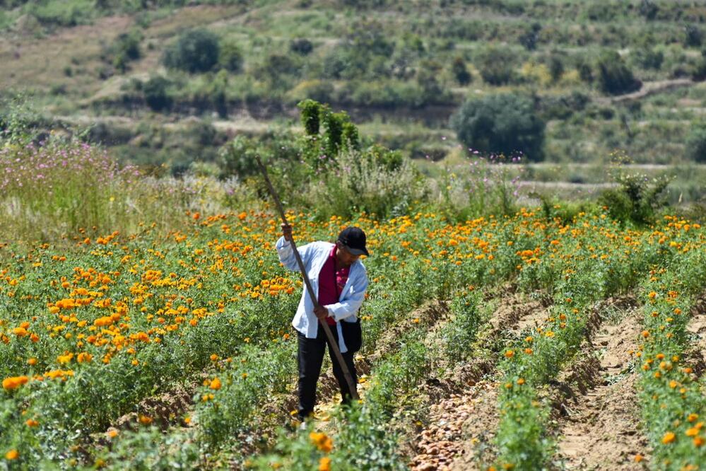 FOTO: Agencia Es Imagen para El Universal Puebla
