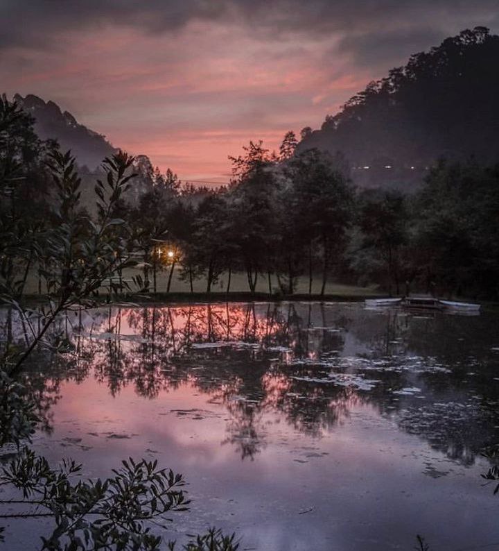 Apulco se ubica a sólo dos horas y media de distancia de la ciudad de Puebla | Foto: Instagram woodlands and water