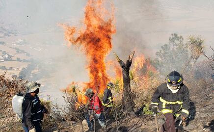 En 2022 incendios forestales afectaron más de 5 mil hectáreas en Puebla