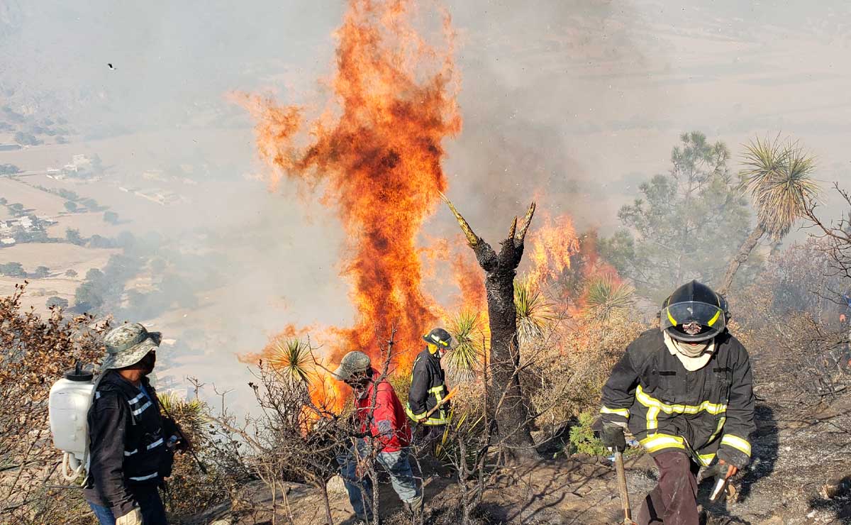 En Puebla diseñarán un plan forestal enfocado en la supervisión de espacios naturales para prevenir incendios | Foto: Agencia Es Imagen para El Universal Puebla