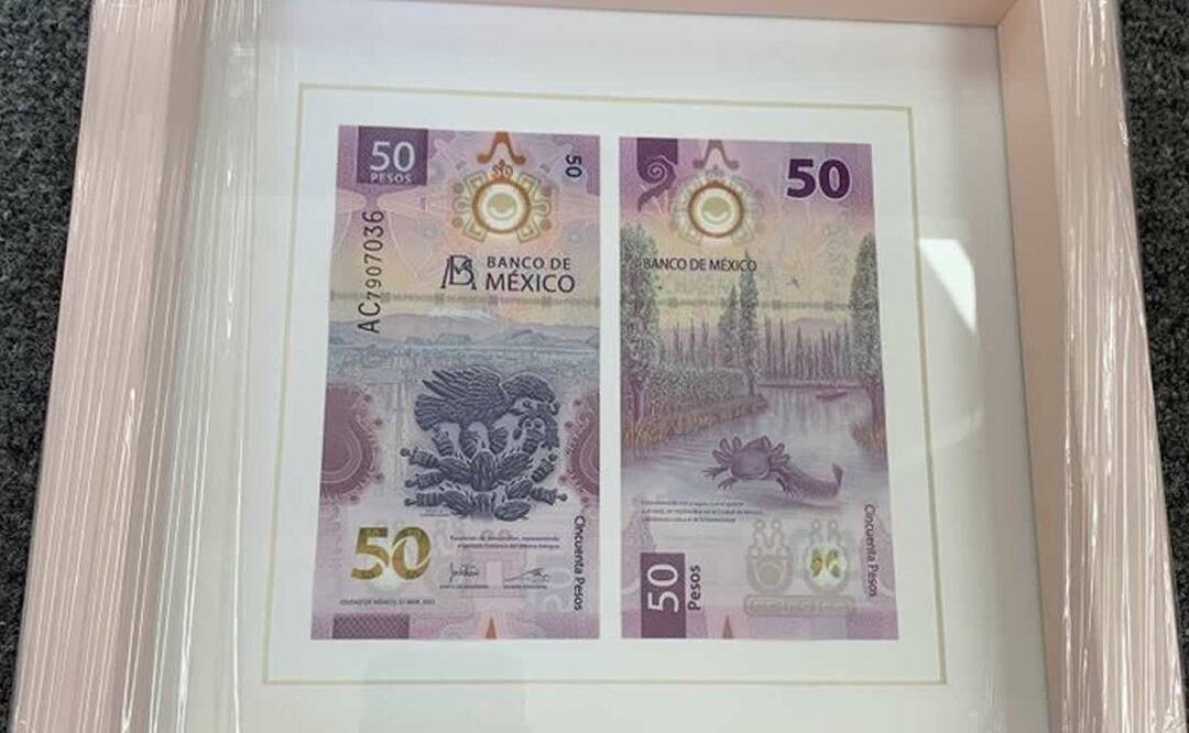 Un usuario de redes sociales presumió su cuadro de billete de ajolotes. Foto: I_solorio / Twitter