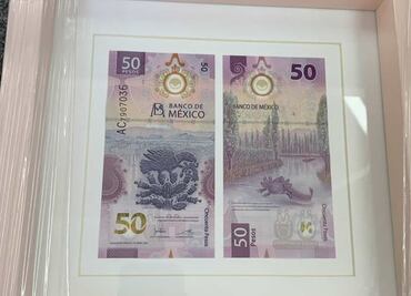 Nuevo billete de 50 pesos. Ahora la gente está enmarcando su ajolote